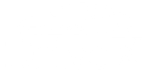 DriveX